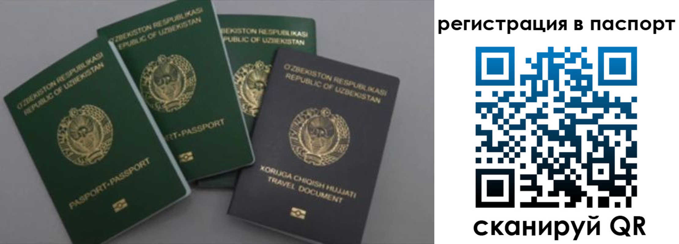 прописка от собственника в Амурской области